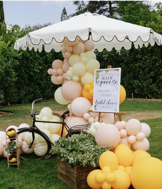 AU STOCK Balloon Arch Garland Wedding Party Birthday Orange macaron beige deco