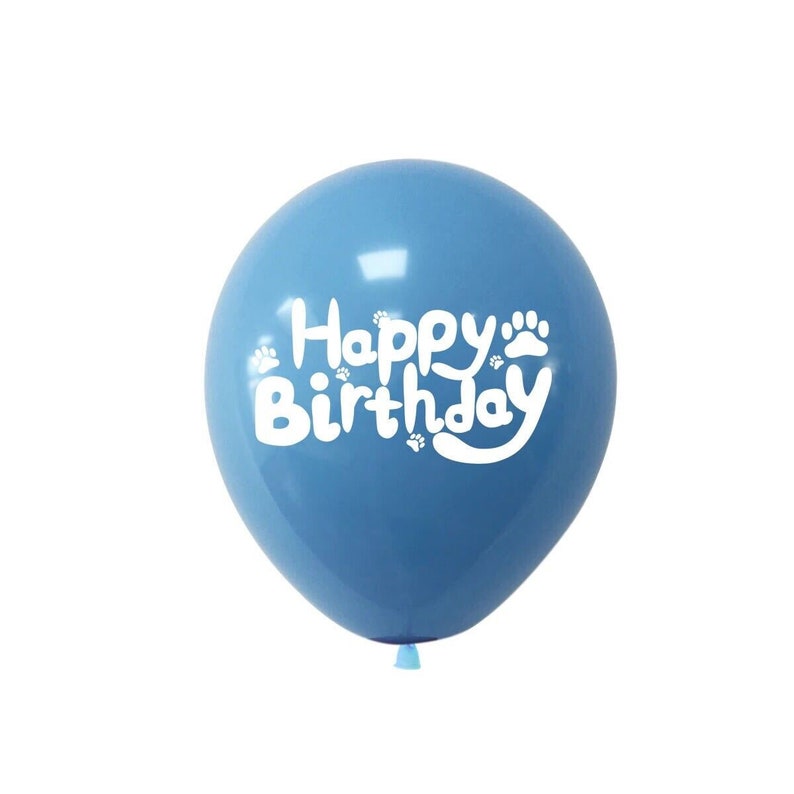 Bluey 9 pc 12" latex birthday party fun decor au stock balloon