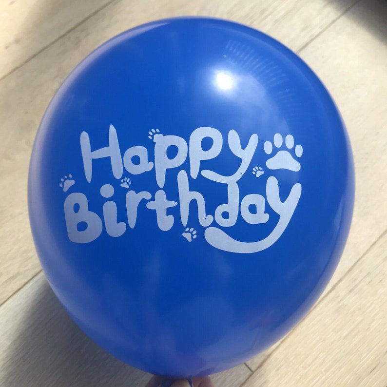 Bluey 9 pc 12" latex birthday party fun decor au stock balloon