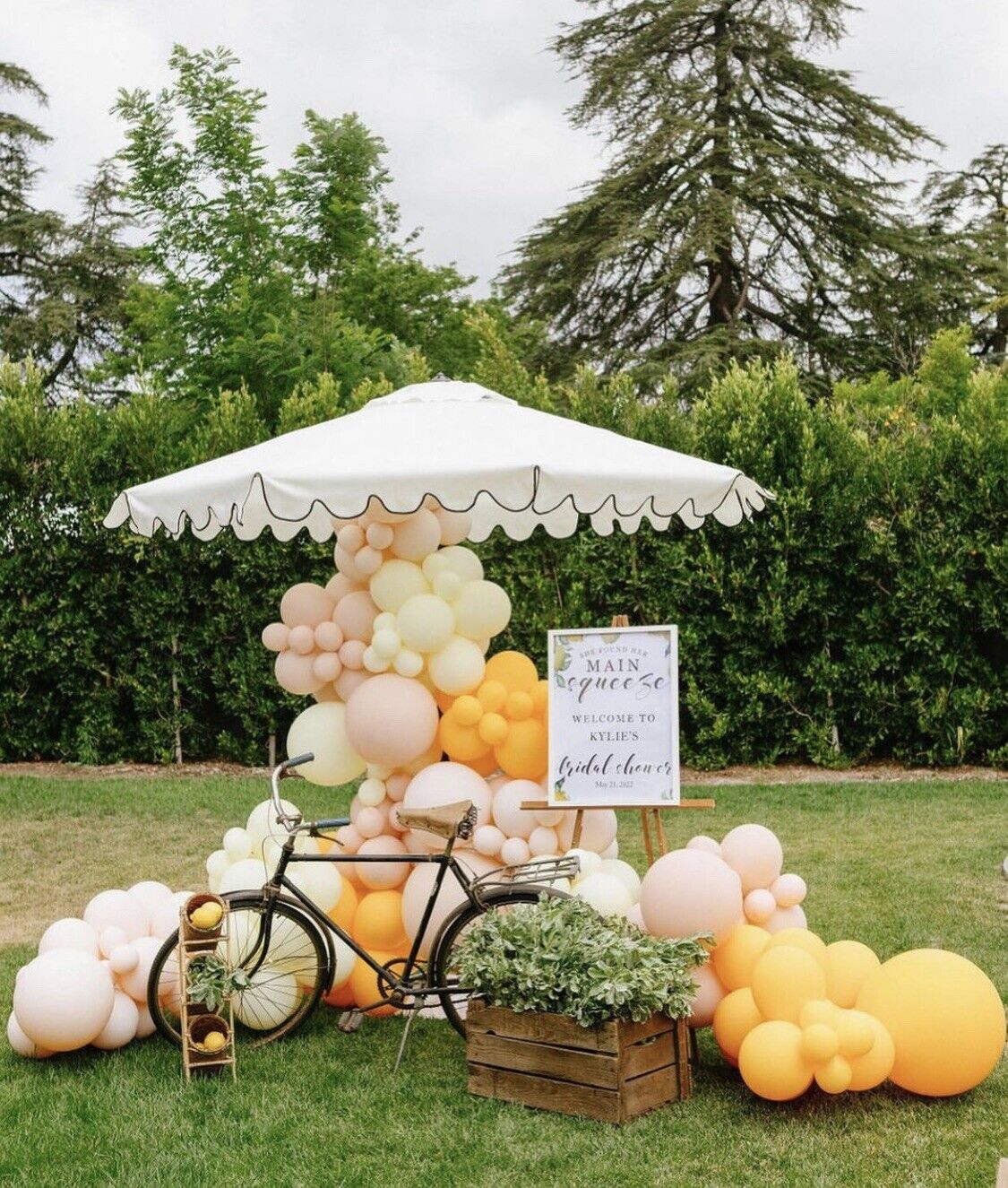 AU STOCK Balloon Arch Garland Wedding Party Birthday Orange macaron beige deco